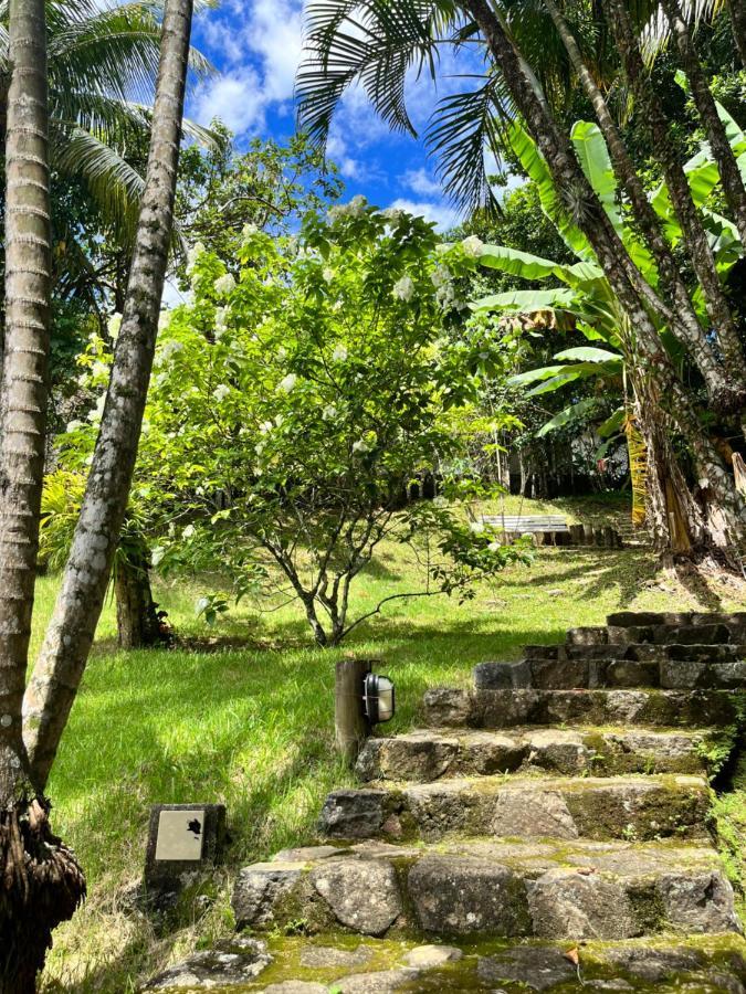Casa de hóspedes Sinbad
